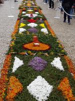 Funchal am Vortag des Festumzuges