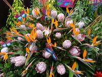 Funchal am Vortag des Festumzuges