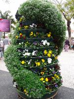 Funchal am Vortag des Festumzuges