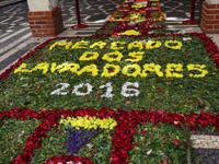 Markthalle von Funchal