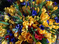 Markthalle von Funchal