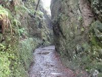 Mini-Levada-Wanderung nach 