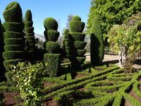 Botanischer Garten von Funchal 