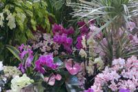 ...einfach hübsch...