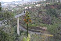 Blick über Funchal