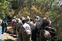 kleine Levada-Wanderung