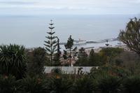 Blick zum Hafen von Funchal