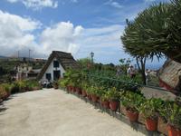 Typisches Madeira Haus