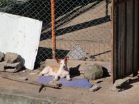 Besuch auf dem Wanderweg