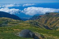 Blick auf die Bucht von Funchal