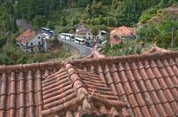 typische Terrakotta Dächer in Ribeiro Frio