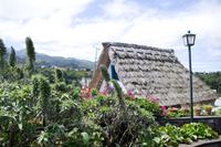 typisches Strohhaus von Santana