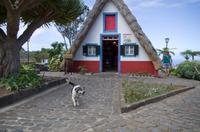 typisches Strohhaus von Santana