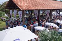 Weinfest in der Quinta do Furao