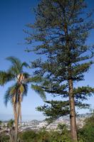 im Botanischen Garten in Funchal