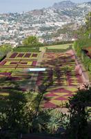 im Botanischen Garten in Funchal