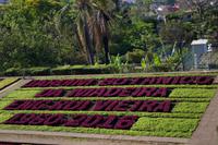 im Botanischen Garten in Funchal