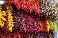 Mercado dos Lavradores