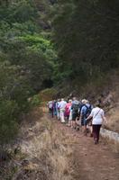 Levada Wanderung bei Machico
