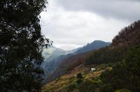 Levada Wanderung bei Machico