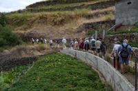Levada Wanderung bei Machico