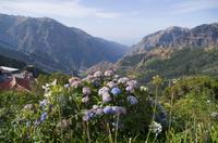 Berglandschaft Madeira