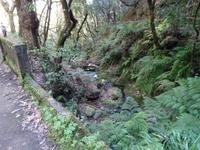 Wanderung entlang der Levada Furado zum Aussichtspunkt Balcoes