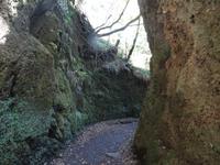 Wanderung entlang der Levada Furado zum Aussichtspunkt Balcoes