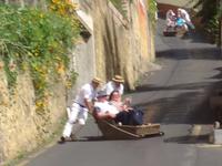 Monte - Korbschlittenfahrt