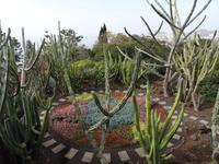 Botanischer Garten von Funchal 