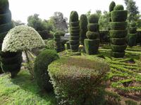 Botanischer Garten von Funchal 