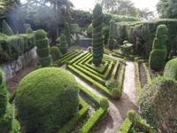 Botanischer Garten von Funchal 