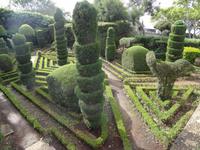 Botanischer Garten von Funchal 