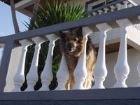 Begrüßung am Eingang des Orchideengarten's 