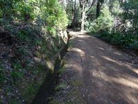Wanderung entlang der Levada da Serra do Faial 