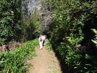 Wanderung entlang der Levada da Serra do Faial 