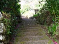 Wanderung entlang der Levada da Serra do Faial - Treppenaufstieg