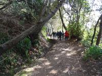 Wanderung entlang der Levada da Serra do Faial 