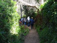 Wanderung entlang der Levada da Serra do Faial 