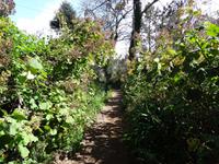 Wanderung entlang der Levada da Serra do Faial 