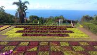Funchal,Botanischer Garten