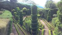 Funchal,Botanischer Garten
