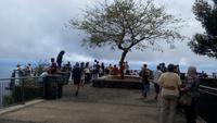  Cabo Girão, Blick auf eine der höchsten Steilklippen Europas