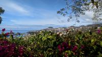 Quinta Boa Vista Orchidea-Blick auf Funchal