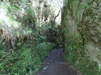 Wanderung auf der Levada nach 