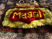 Funchal und sein Blumenteppiche