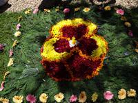 Funchal und sein Blumenteppiche