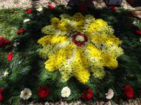 Funchal und sein Blumenteppiche