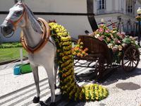 Funchal - Dekoration zum Blumenfest