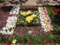 Funchal und sein Blumenteppiche
